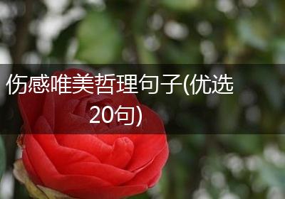 伤感唯美哲理句子(优选20句)