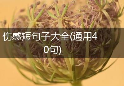 伤感短句子大全(通用40句)