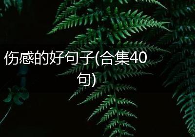 伤感的好句子(合集40句)