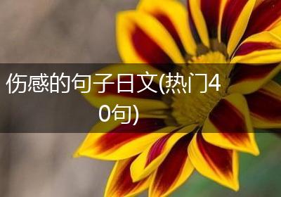 伤感的句子日文(热门40句)