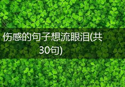 伤感的句子想流眼泪(共30句)