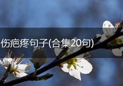 伤疤疼句子(合集20句)