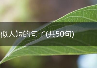 似人短的句子(共50句)
