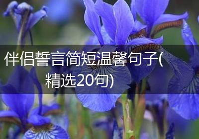 伴侣誓言简短温馨句子(精选20句)