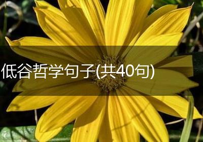 低谷哲学句子(共40句)