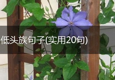 低头族句子(实用20句)