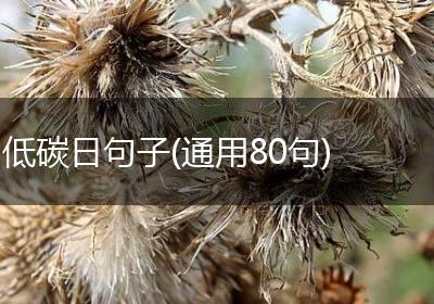 低碳日句子(通用80句)