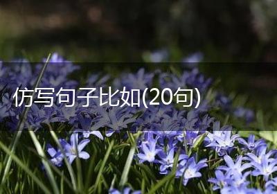 仿写句子比如(20句)