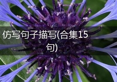 仿写句子描写(合集15句)