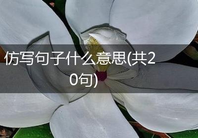 仿写句子什么意思(共20句)
