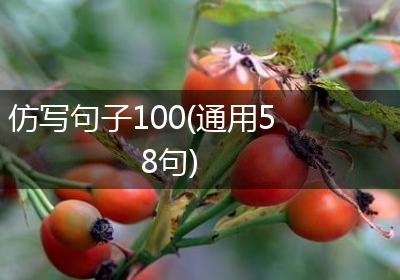 仿写句子100(通用58句)