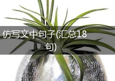 仿写文中句子(汇总18句)