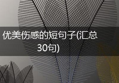 优美伤感的短句子(汇总30句)