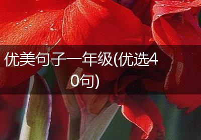 优美句子一年级(优选40句)
