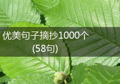 优美句子摘抄1000个(58句)