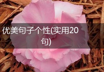 优美句子个性(实用20句)