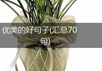 优美的好句子(汇总70句)