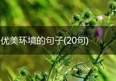 优美环境的句子(20句)
