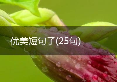 优美短句子(25句)
