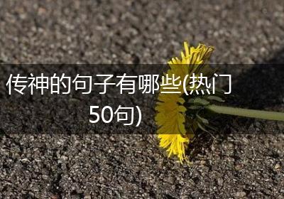 传神的句子有哪些(热门50句)