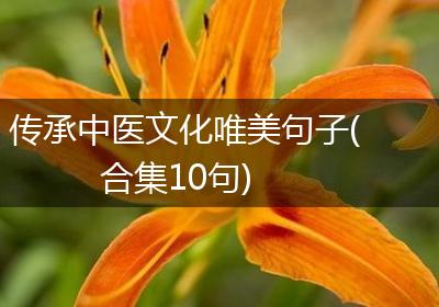 传承中医文化唯美句子(合集10句)