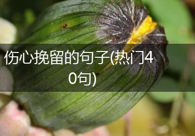 伤心挽留的句子(热门40句)