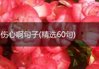 伤心啊句子(精选60句)