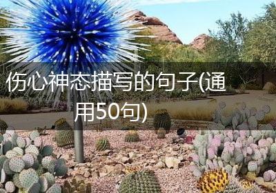 伤心神态描写的句子(通用50句)