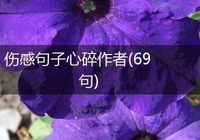 伤感句子心碎作者(69句)