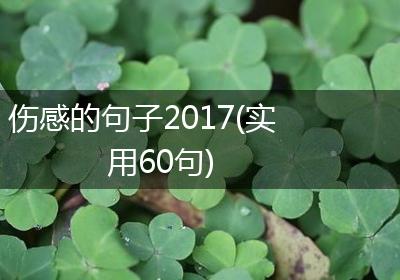 伤感的句子2017(实用60句)