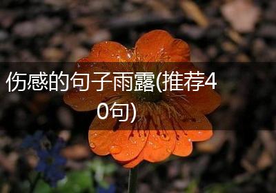 伤感的句子雨露(推荐40句)
