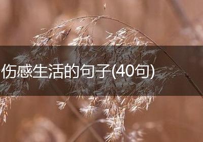 伤感生活的句子(40句) 伤感生活的句子(40句)