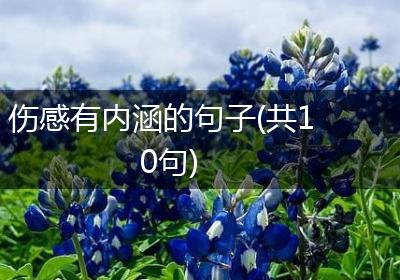 伤感有内涵的句子(共10句)