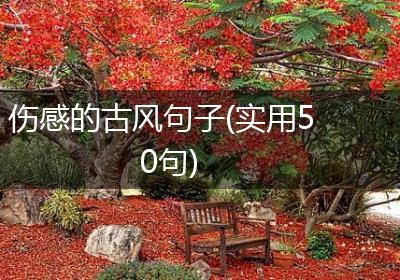 伤感的古风句子(实用50句)
