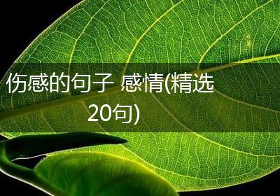 伤感的句子 感情(精选20句)