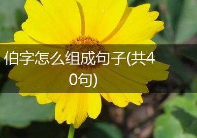 伯字怎么组成句子(共40句)