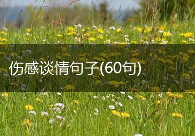 伤感谈情句子(60句)