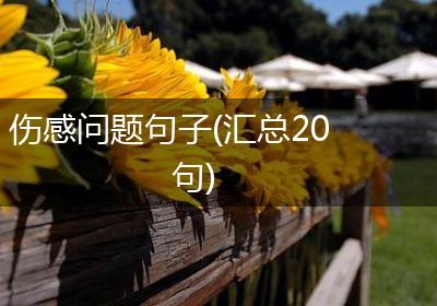 伤感问题句子(汇总20句)