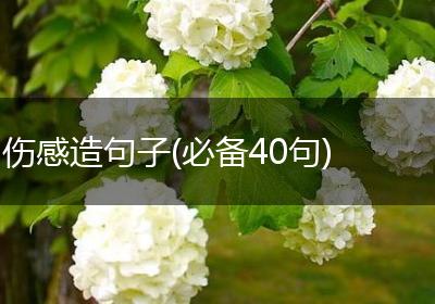 伤感造句子(必备40句)