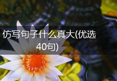 仿写句子什么真大(优选40句)