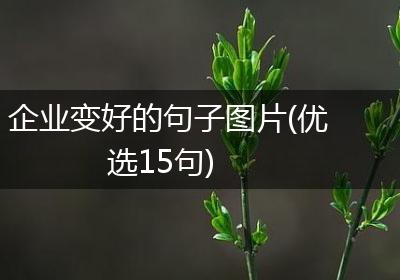 企业变好的句子图片(优选15句)
