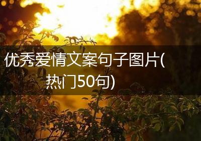 优秀爱情文案句子图片(热门50句)