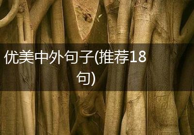 优美中外句子(推荐18句)
