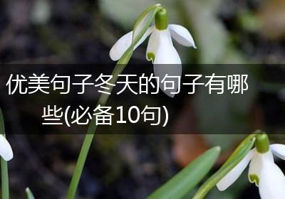 优美句子冬天的句子有哪些(必备10句)