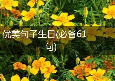 优美句子生日(必备61句)