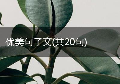 优美句子文(共20句)