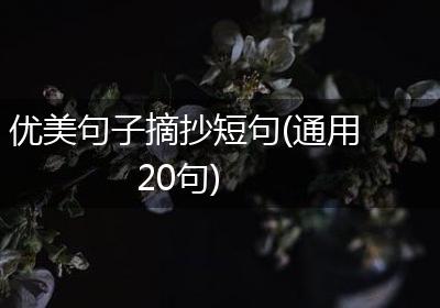 优美句子摘抄短句(通用20句)