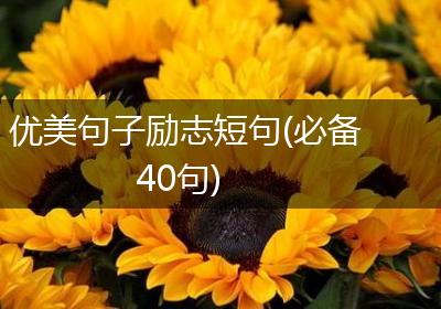 优美句子励志短句(必备40句)
