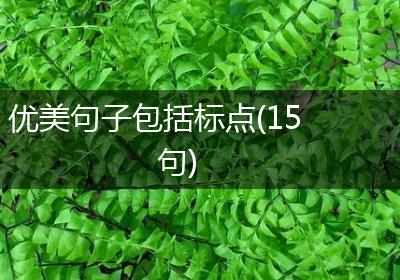 优美句子包括标点(15句)