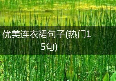优美连衣裙句子(热门15句)